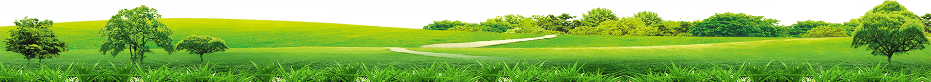 Murfreesboro Lawn Mowing Service